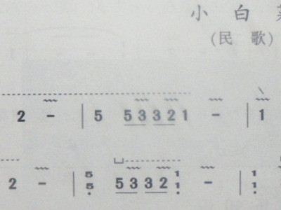 小白菜曲谱_初学小白菜古筝曲谱(5)