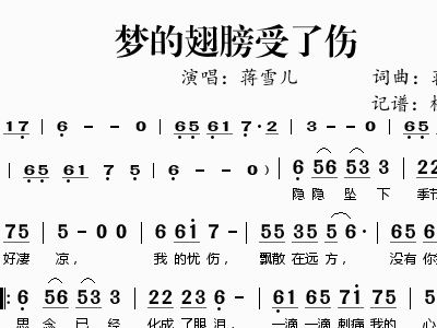 受了伤简谱_孤单的心已受了伤简谱(3)