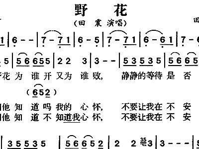 野花的简谱_路边的野花不要采简谱(3)