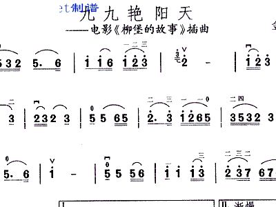 二胡九九艳阳天简谱_九九艳阳天 初级二胡