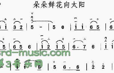 花儿朵朵向太阳简谱_花儿朵朵向太阳