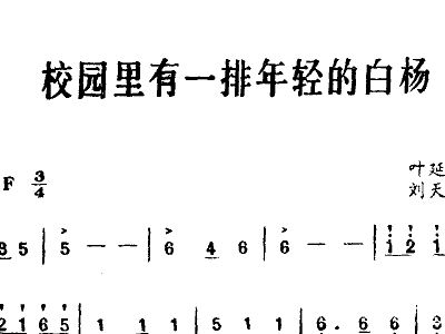 年轻的白杨简谱_高高的白杨简谱