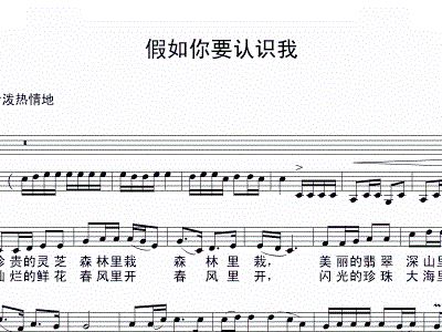 假如你要认识我的简谱_假如你要认识我简谱