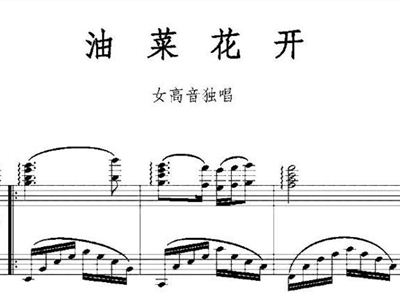 油菜花简谱_油菜花简笔画(2)