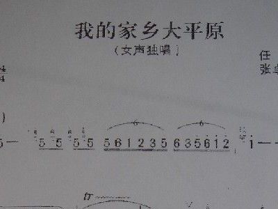 我的家乡大平原简谱_我的家乡大平原