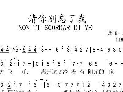 请你别忘了我简谱_请你不要忘了我简谱