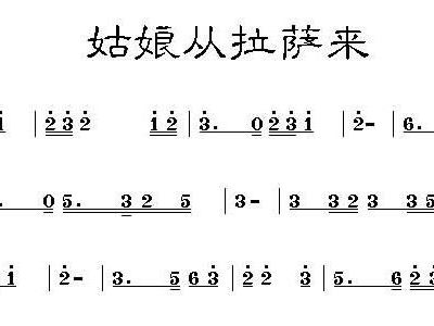 拉萨姑娘简谱_拉萨夜雨简谱
