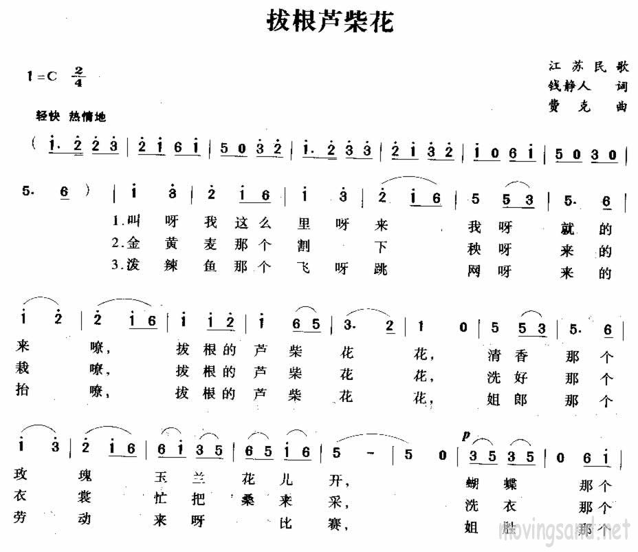 雨中花简谱_最美的雨中花图片(2)