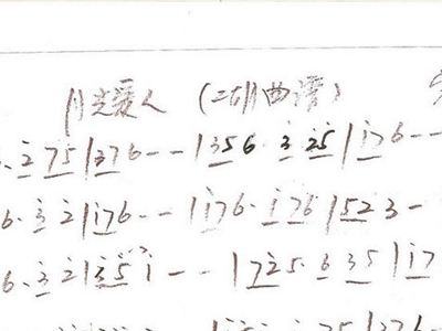 二胡曲谱月光爱人_月光下的凤尾竹曲谱