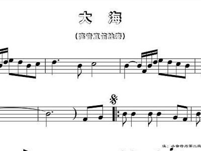 竹笛大海简谱_星辰大海竹笛简谱