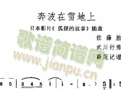 雪地简谱_雪地里的小画家图片(3)
