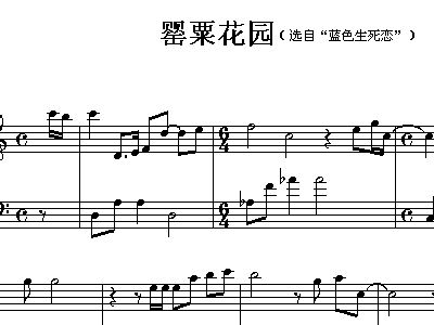 罂粟简谱_罂粟果(2)
