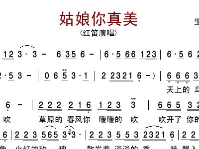 采花二胡简谱_采花二胡曲谱(3)