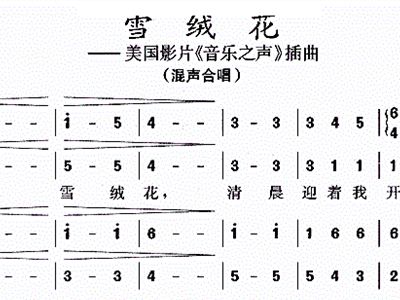 雪绒花的曲谱唱_雪绒花钢琴曲谱简谱(3)
