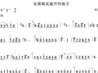 桃花盛开的地方二胡独奏曲谱_在那桃花盛开的地方