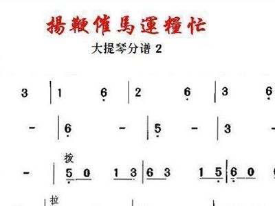 扬鞭催马运粮忙之大提琴 2