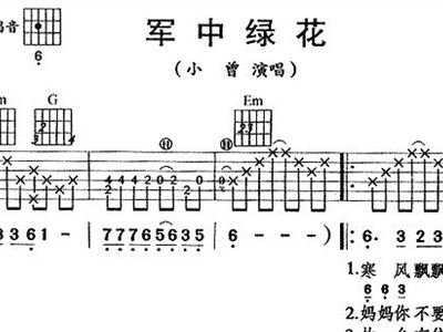 军中绿花的钢琴曲谱_军中绿花曲谱(3)