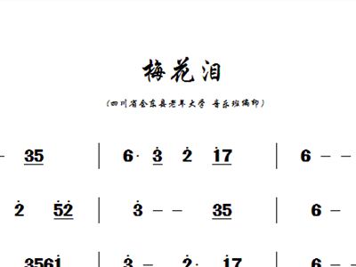 梅花泪曲谱简谱_梅花泪简谱(3)