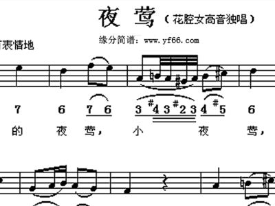 夜莺简谱正谱_雅尼夜莺简谱(3)
