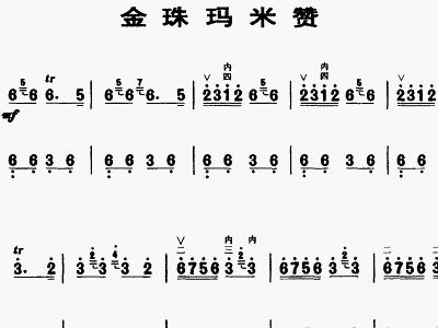 金珠玛米赞曲谱图片_点赞图片