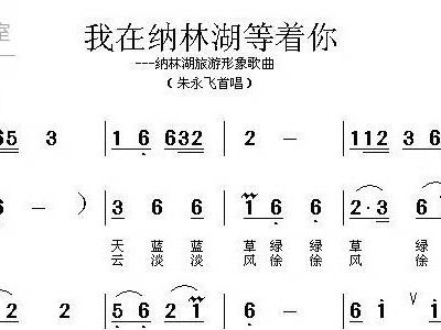 我在纳林湖等着你 朱永飞 歌谱 简谱