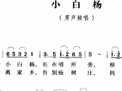 小白杨简谱笛子_小白杨简谱