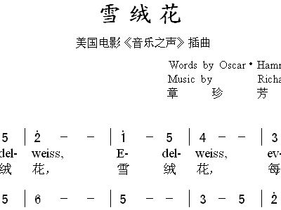 雪绒花+成方圆+王刚+歌谱