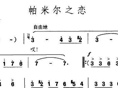 渔歌子简谱林华_林华留置针