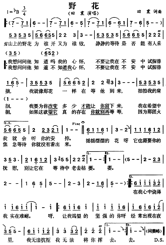 野花 田震 歌谱 简谱