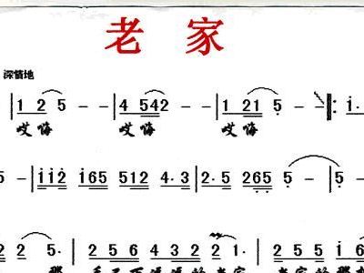 老家曲谱_老家曲谱简谱(5)