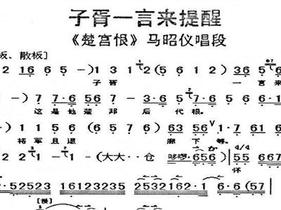 朱宝光京剧楚宫恨对唱曲谱_京剧白毛女对唱曲谱