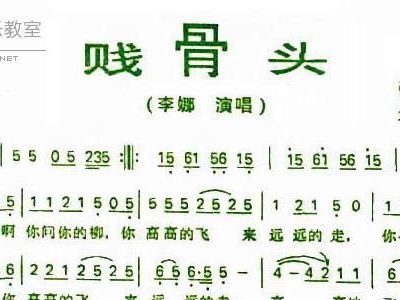 贱骨头 李娜