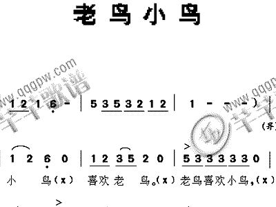 老鸟小鸟简谱_老鸟喂食小鸟图片