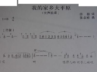 我的家乡大平原简谱_我的江汉大平原简谱(3)
