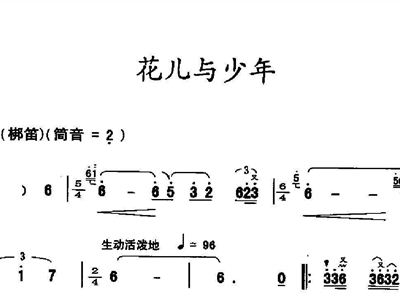 花儿与少年简谱_花儿与少年简谱歌谱(3)