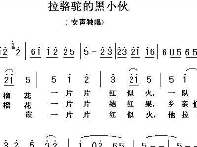 拉骆驼曲谱_骆驼祥子(2)
