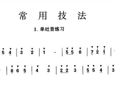 张维良笛子练习曲谱_张维良洞箫练习简谱