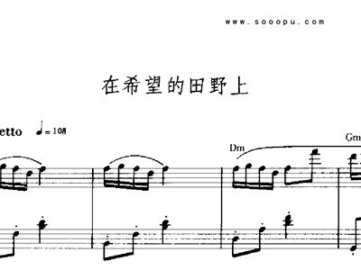 在希望的田野上钢琴伴奏曲谱_在希望的田野上曲谱(2)