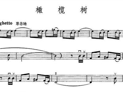橄榄树歌曲简谱_橄榄树