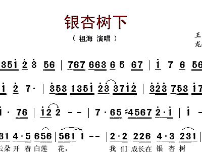 银杏树下 祖海 歌谱 简谱