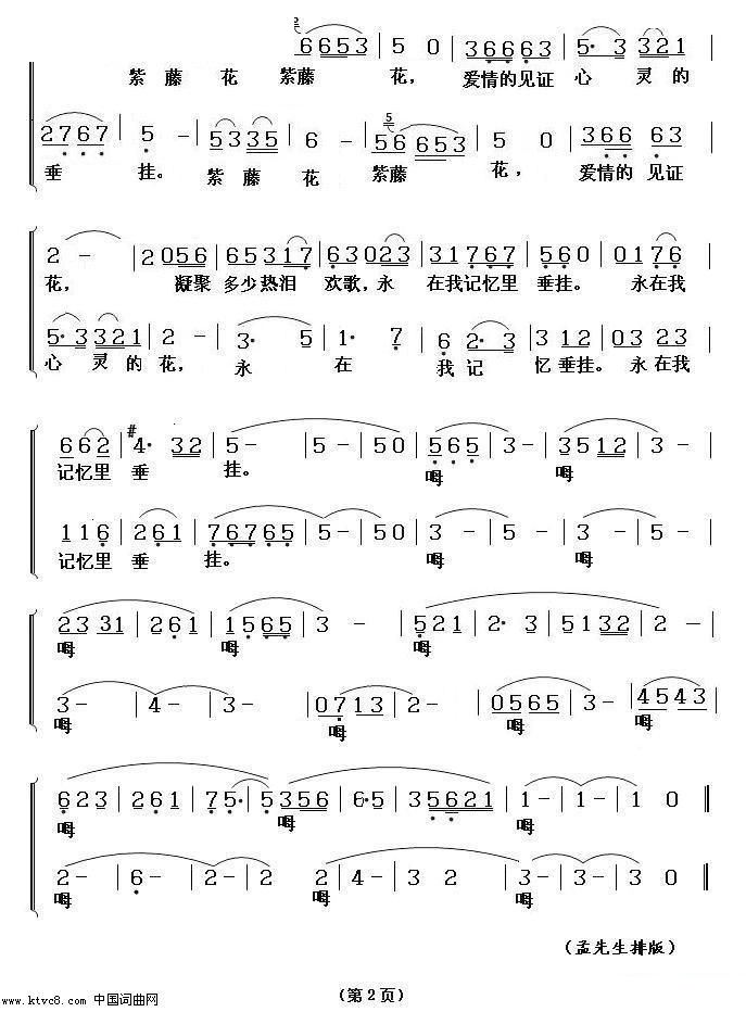 紫滕花