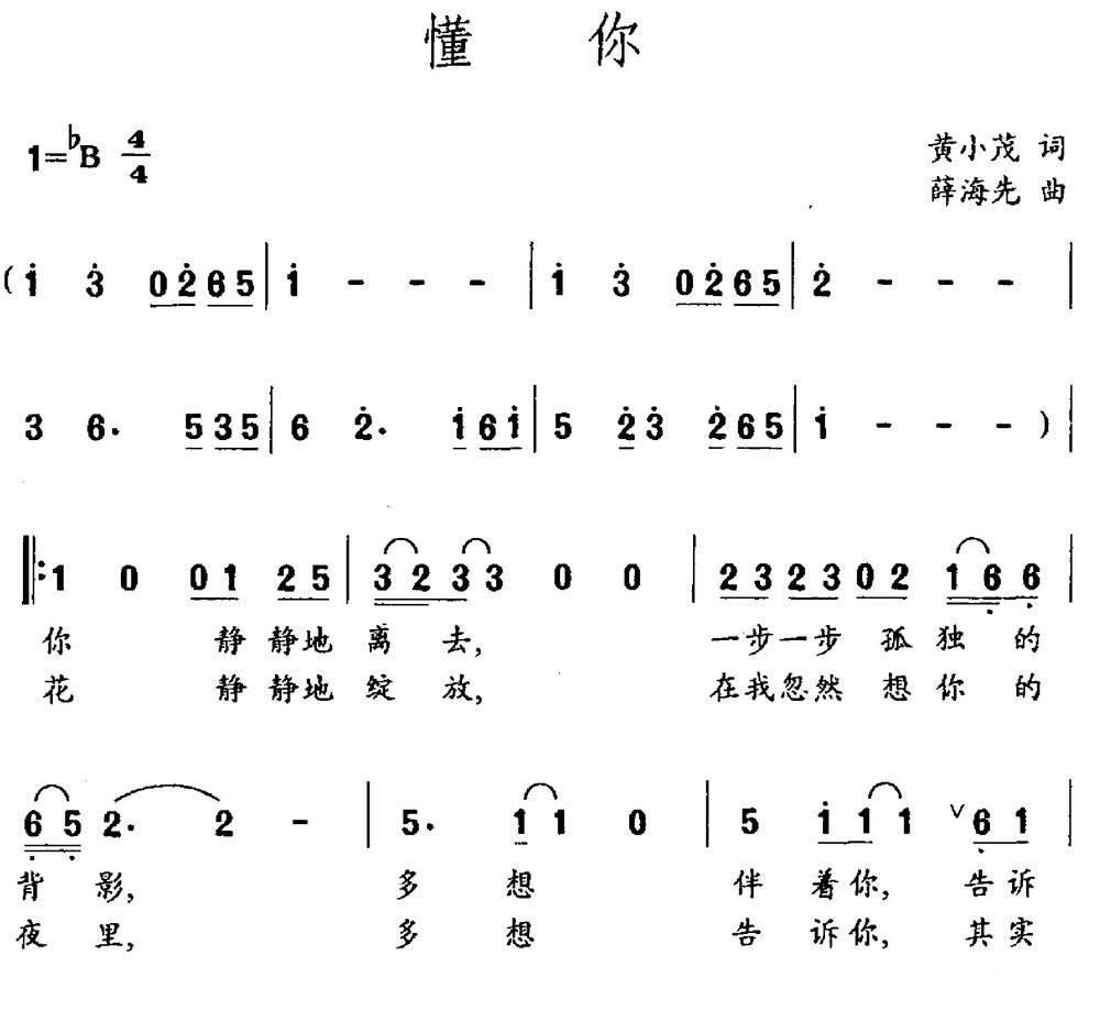 懂你吉他谱c