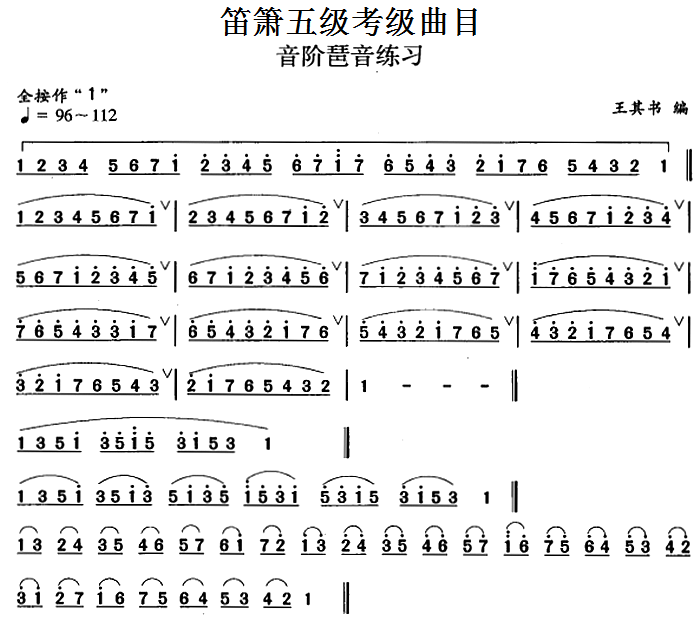 天宫迅音笛子曲谱_抖音最火歌曲笛子曲谱(5)
